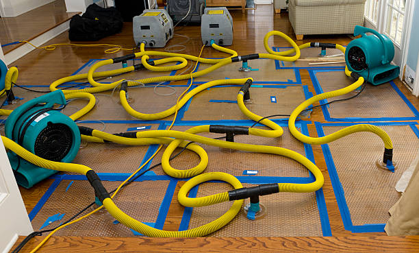 Professional Structural Drying And Dehumidification technician working in Salem, AR